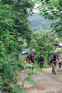 BIB: 
                            <button type="button" onclick="openModal(27249067)" class="btn btn-primary btn-sm float-right btn-popup" data-toggle="modal" data-target=".modal-high-quality">
                        <i class="fas fa-shopping-cart"></i> Add to Cart
                    </button>
                                            <button type="button" onclick="isThisMe(27249067, true)" class="btn btn-success btn-sm float-right btn-popup btn-isme hidden" data-toggle="tooltip" data-placement="bottom" title="นี่คือรูปของคุณใช่ไหม คลิกที่นี่เพื่อเอาเข้าอัลบั้ม">
                        <i class="fas fa-plus"></i> Add to album
                    </button>
                    <button type="button" onclick="isThisMe(27249067, false)" class="btn btn-warning btn-sm float-right btn-popup btn-isnotme hidden">
                        <i class="fas fa-ban"></i> Remove from album
                    </button>